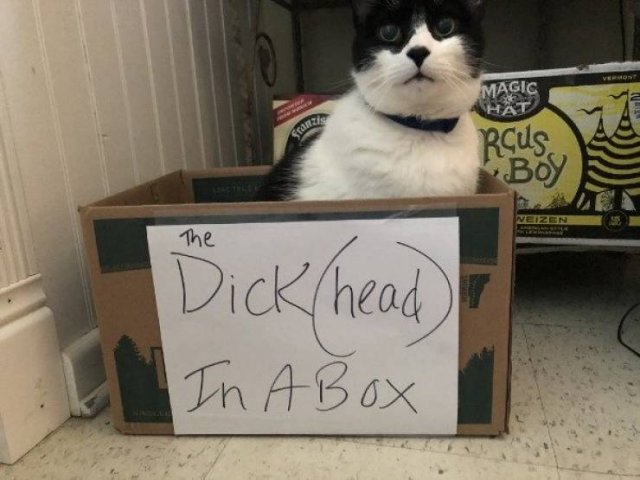Random Funny Memes (50 pics)