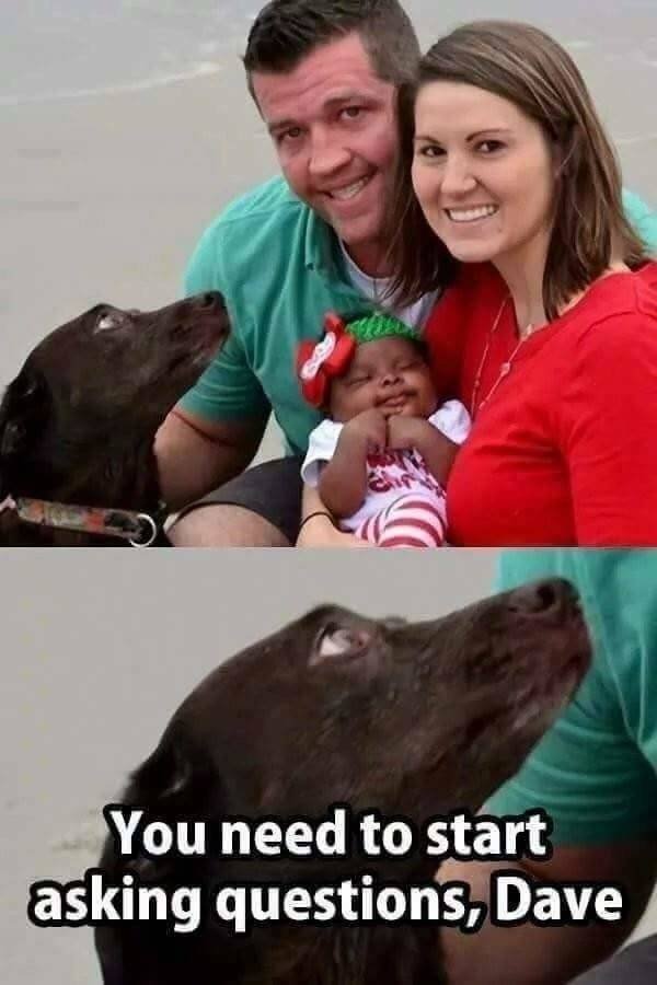 Random Funny Memes (50 pics)