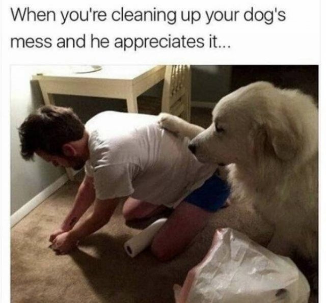 Random Funny Memes (50 pics)