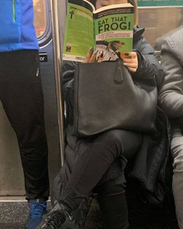 People Reading Interesting Books (44 pics)