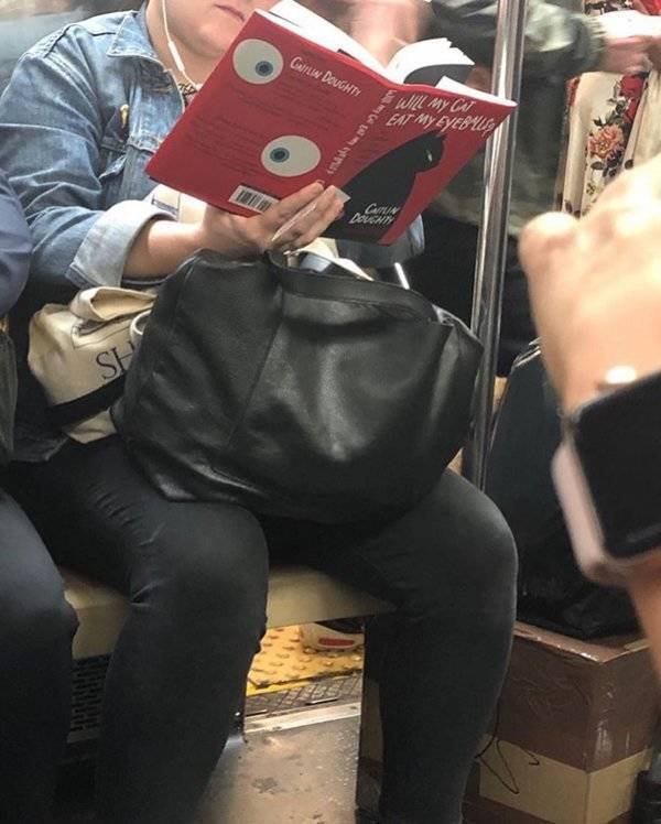 People Reading Interesting Books (44 pics)