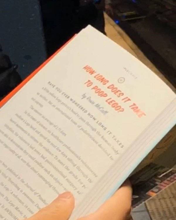People Reading Interesting Books (44 pics)