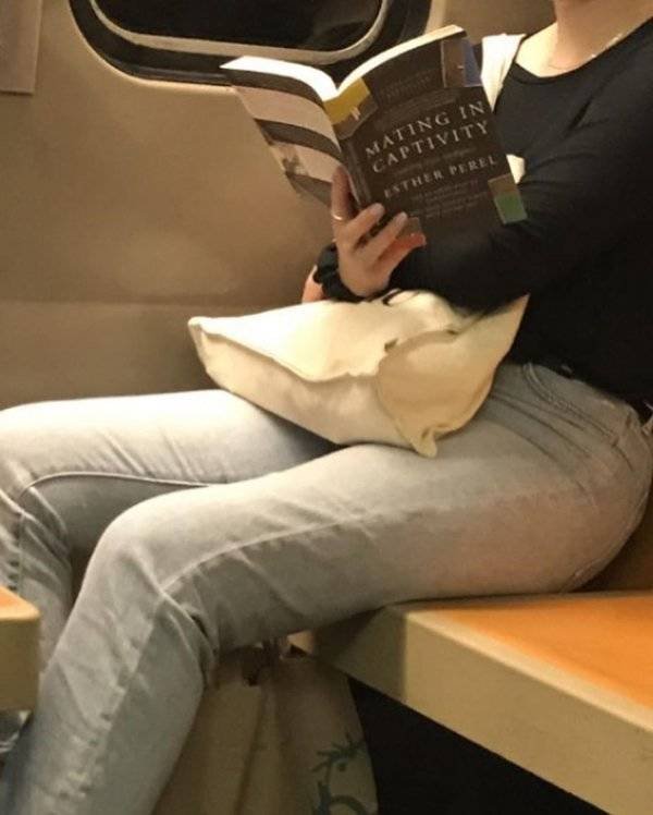 People Reading Interesting Books (44 pics)