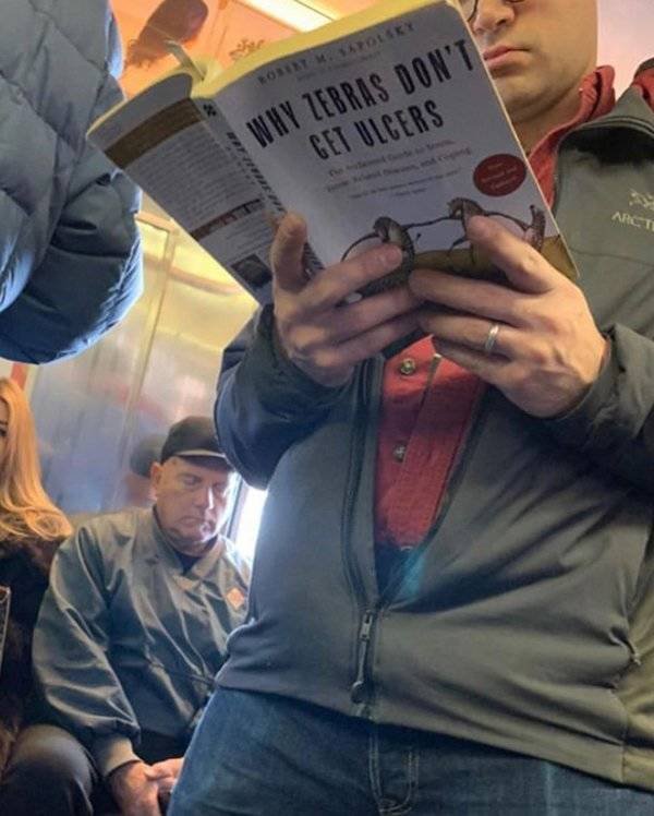 People Reading Interesting Books (44 pics)