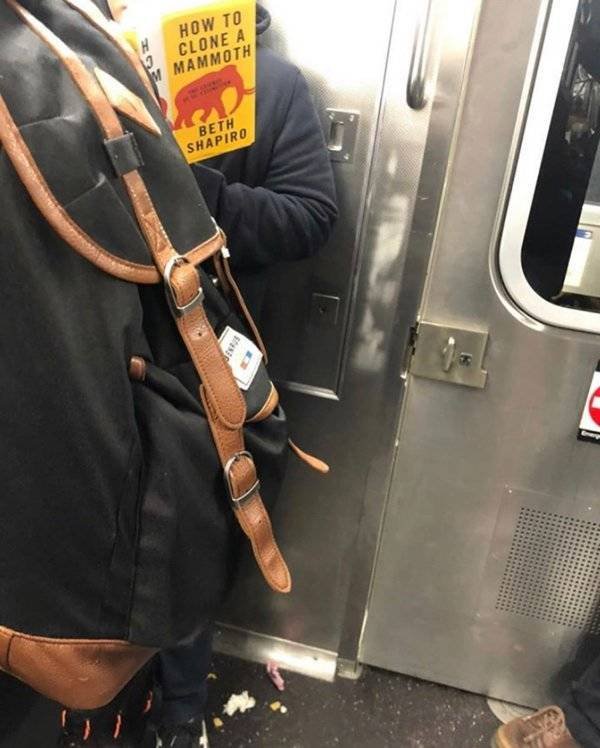 People Reading Interesting Books (44 pics)