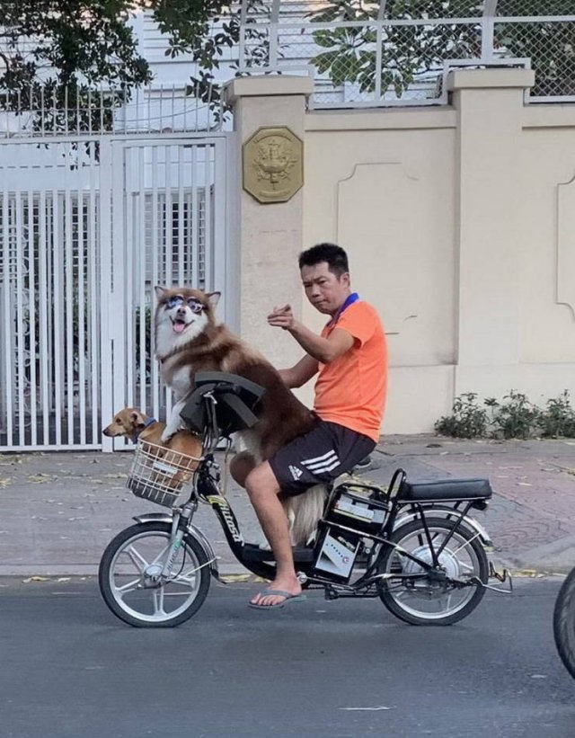 Weird Asia (40 pics)