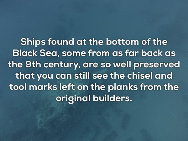 Random Facts (20 pics)