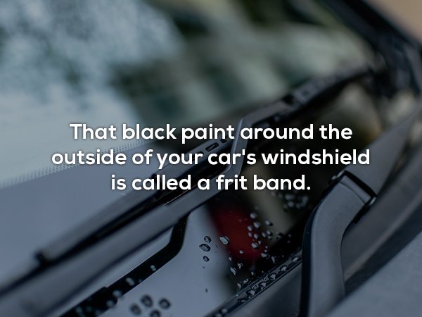Random Facts (20 pics)