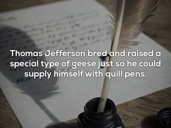 Random Facts (20 pics)