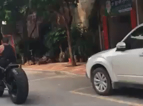 Acid Gifdump, January 21 (25 gifs)