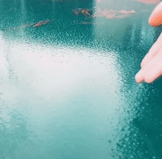 Acid Gifdump, January 21 (25 gifs)