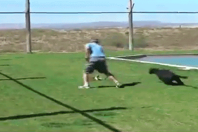 Acid Gifdump, January 21 (25 gifs)