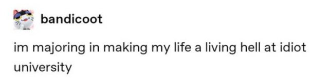 Tumblr Jokes (24 pics)