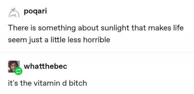 Tumblr Jokes (24 pics)