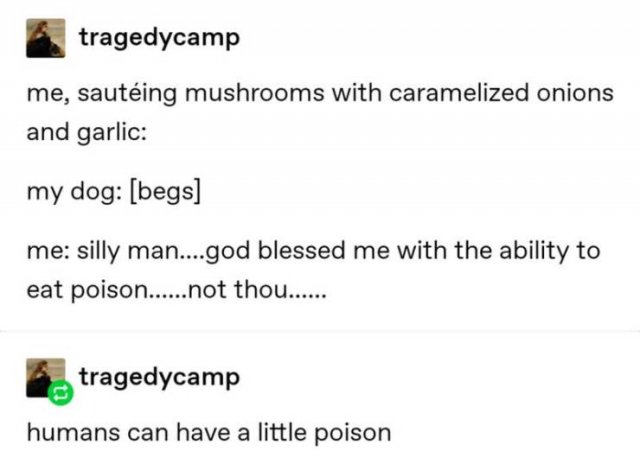 Tumblr Jokes (24 pics)