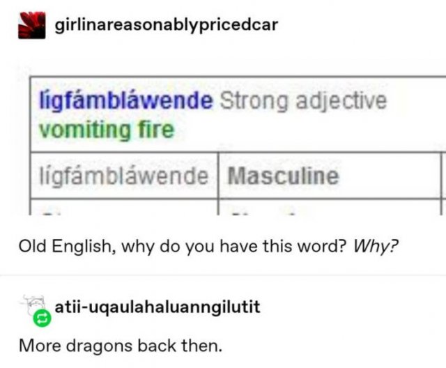 Tumblr Jokes (24 pics)