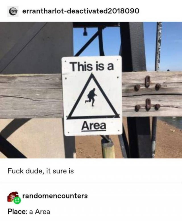 Tumblr Jokes (24 pics)