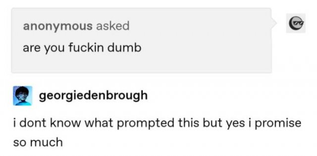 Tumblr Jokes (24 pics)