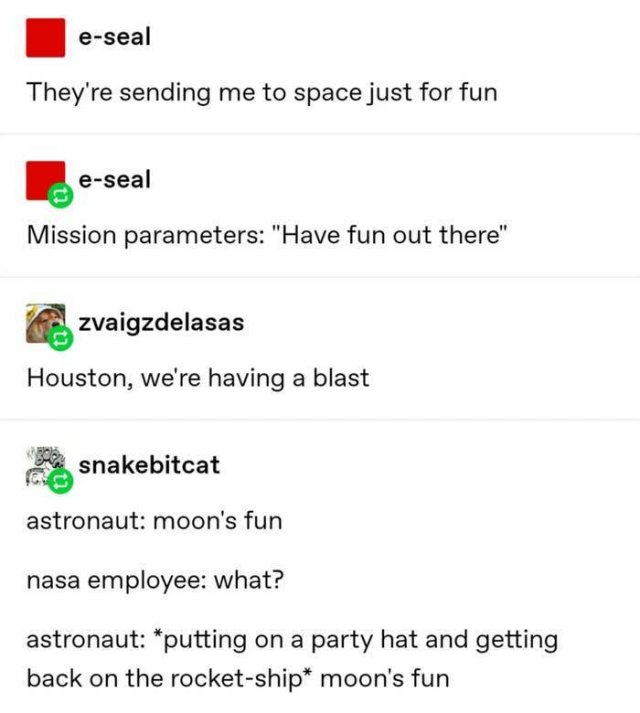 Tumblr Jokes (24 pics)