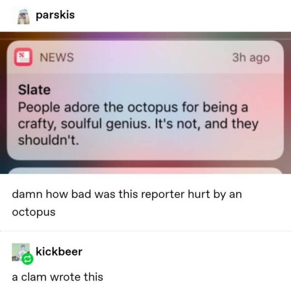 Tumblr Jokes (24 pics)