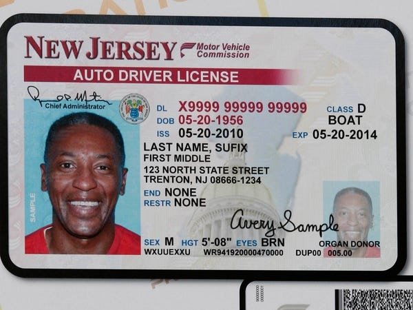50 states driver license pictures