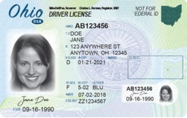 new mexico drivers license format