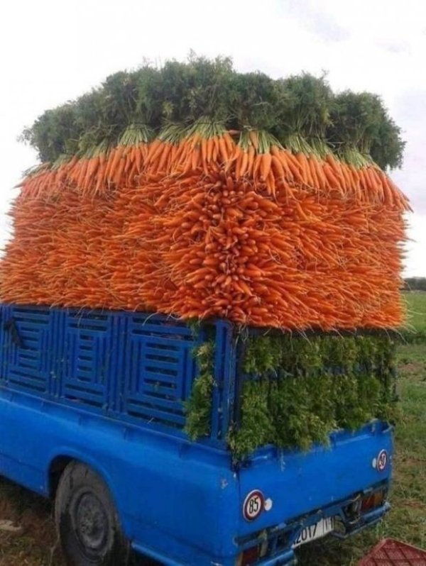 Perfection Is Possible (31 pics)