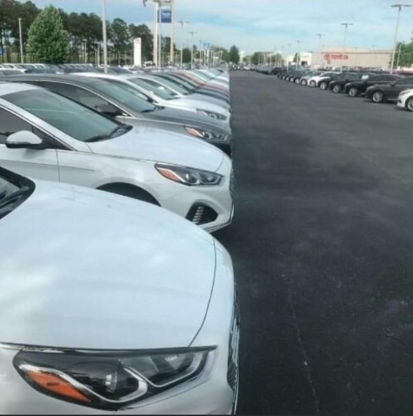 Perfection Is Possible (31 pics)