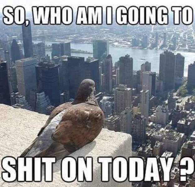 Acid Picdump. Part 2 (94 pics)