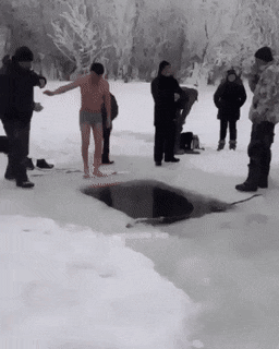 Acid Gifdump, January 22 (25 gifs)