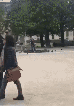 Acid Gifdump, January 22 (25 gifs)