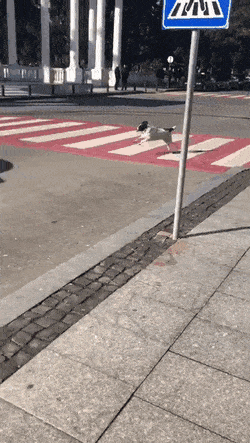 Acid Gifdump, January 22 (25 gifs)