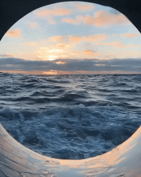 Acid Gifdump, January 22 (25 gifs)