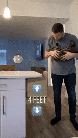 Acid Gifdump, January 22 (25 gifs)