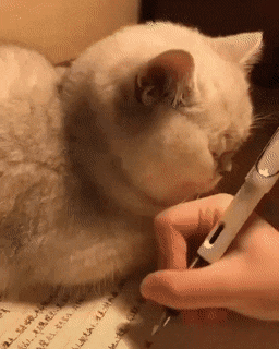 Acid Gifdump, January 22 (25 gifs)