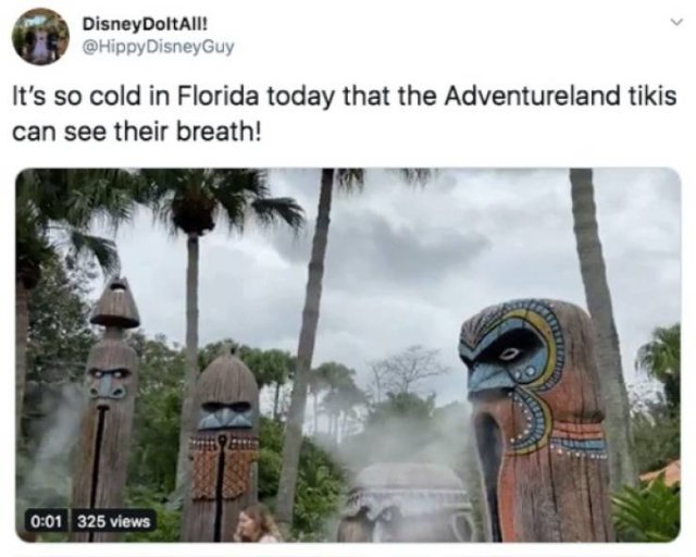 Memes About Sudden Winter In Florida (20 pics)