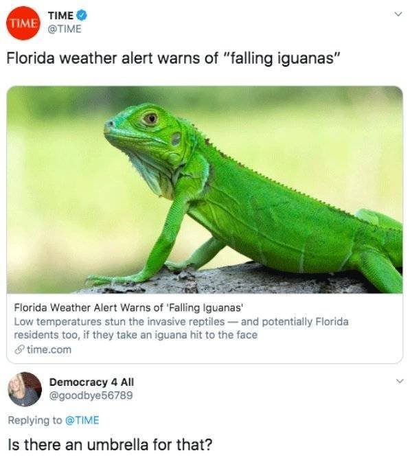 Memes About Sudden Winter In Florida (20 pics)