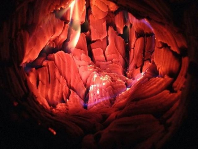 Look Inside (15 pics)