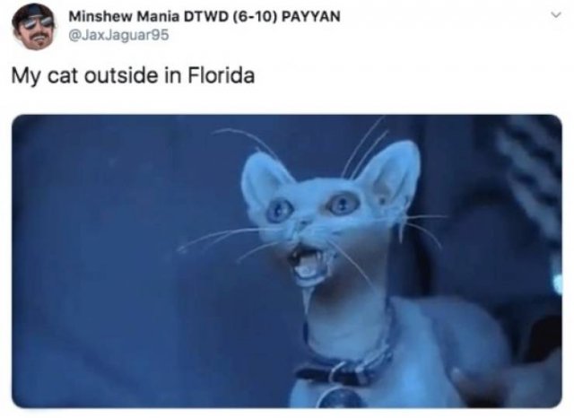 Memes About Sudden Winter In Florida (20 pics)