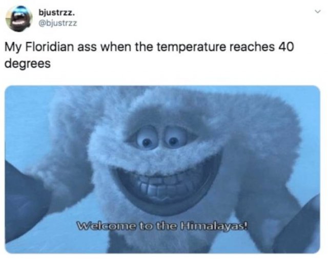 Memes About Sudden Winter In Florida (20 pics)