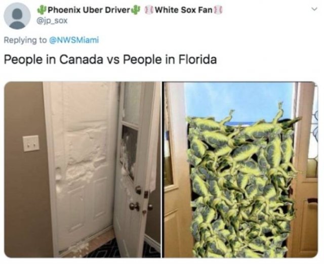 Memes About Sudden Winter In Florida (20 pics)