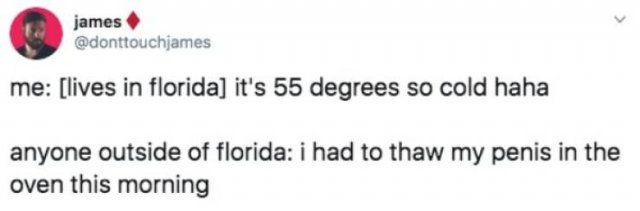 Memes About Sudden Winter In Florida (20 pics)