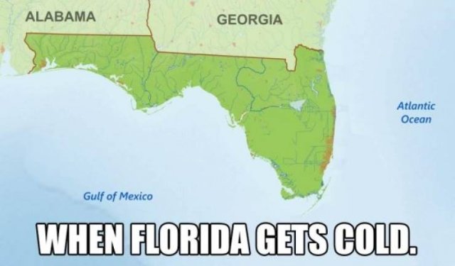 Memes About Sudden Winter In Florida (20 pics)