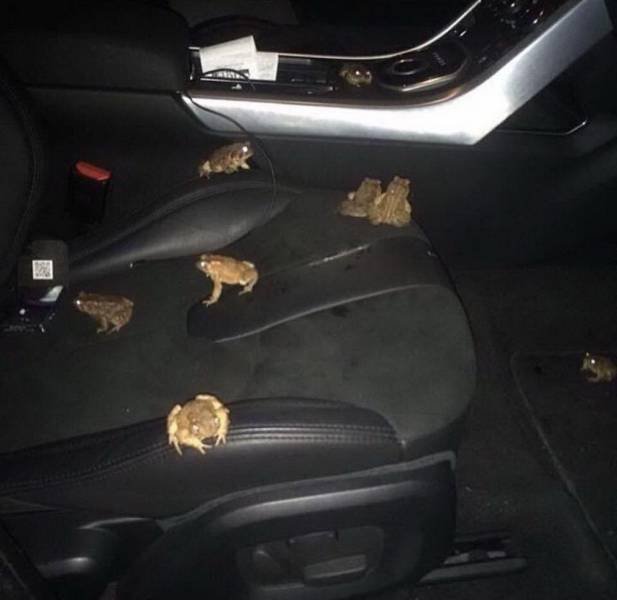 Please Explain It (50 pics)