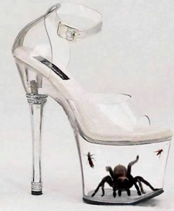 OMG Pictures (28 pics)