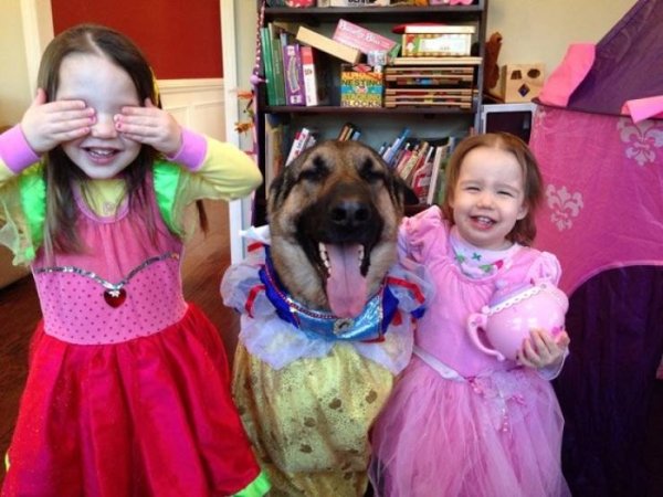 Funny Animals (54 pics)