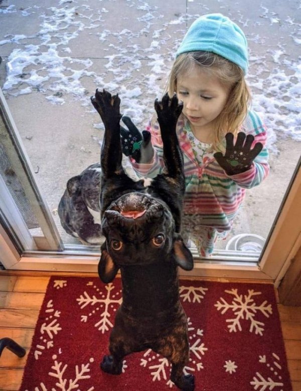Funny Animals (54 pics)