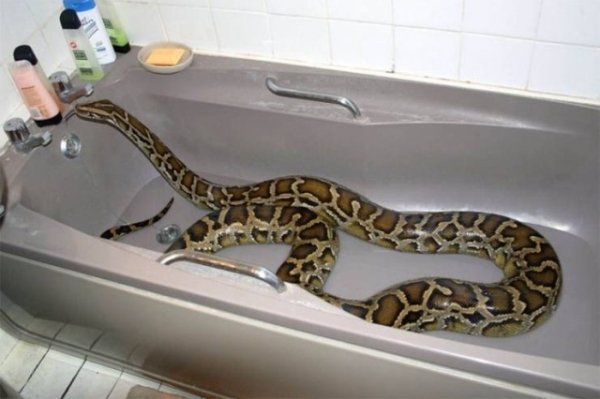 OMG Pictures (28 pics)