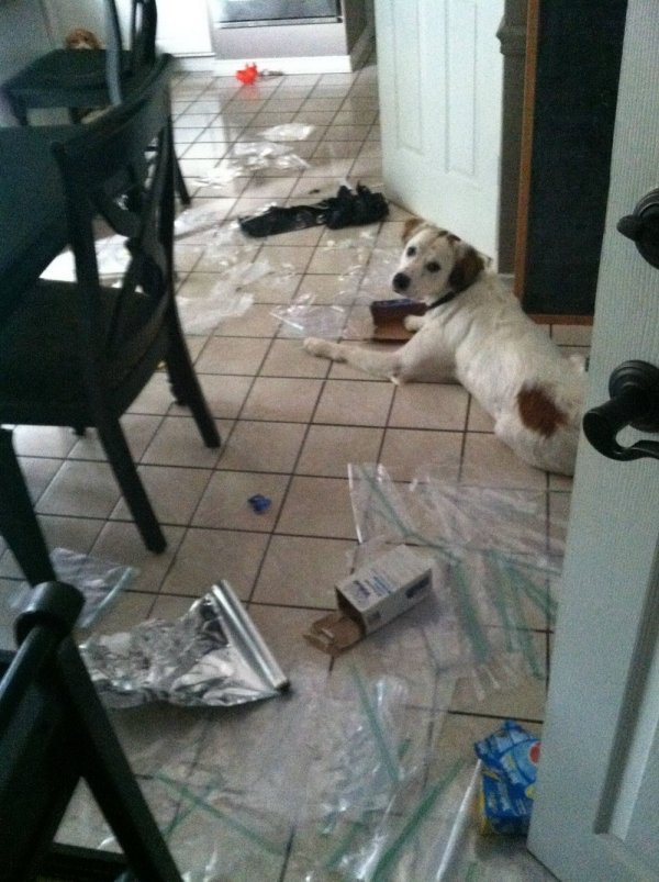 Fails Happen (33 pics)