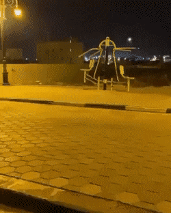Acid Gifdump, January 24 (25 gifs)